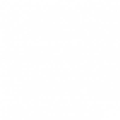 KARINA Электрическая печь KARINA Forta 21 Змеевик